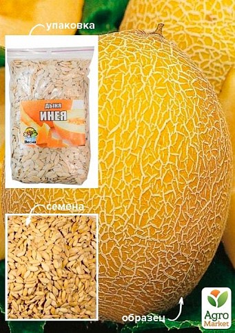 Дыня "Инея" ТМ "Весна" 100г
