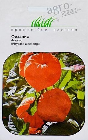Фізаліс ТМ "Hem Zaden" 0.1г