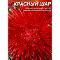 Астра "Красный шар" ТМ "Весна" 0.2г купить