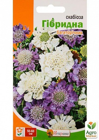 Скабіоза "Гібридна багаторічна" ТМ "Яскрава" 0.1г
