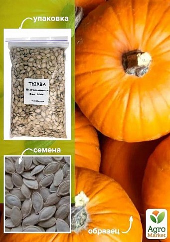 Тыква "Витаминная" ТМ "Весна" 500г