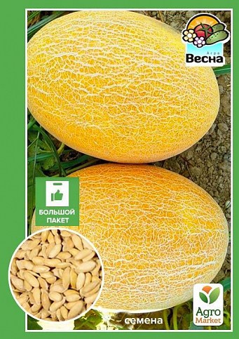 Дыня "Приднестровская" (Большой пакет) ТМ "Весна" 4г