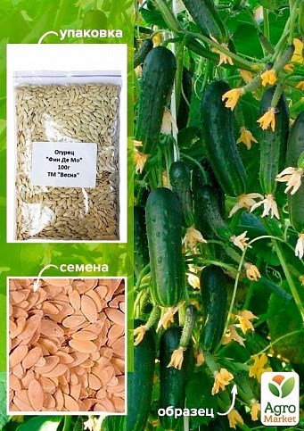 Огірок "Фін де Мо" ТМ "Весна" 100г