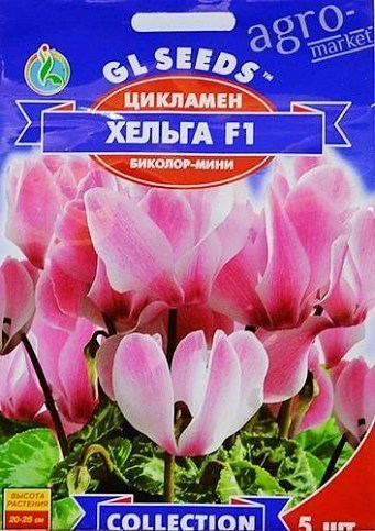 Цикламен "Хельга F1" ТМ "GL Seeds" 5шт