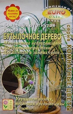 Бокарнея отогнутая (нолина) "Бутылочное дерево"  ТМ "Аэлита" 10шт