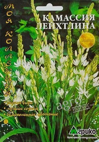 Камассия "Лейхтліна" ТМ "Агріко" 3шт