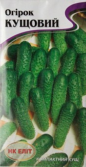 КУСТОВОЙ ОГУРЕЦ: купить семена кустового огурца почтой в Киеве, Одессе ...