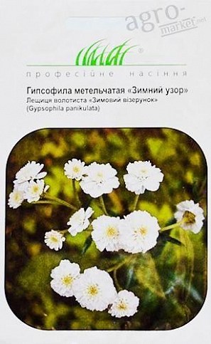 Гіпсофіла "Зимовий візерунок" ТМ "Hem Zaden" 0.1г
