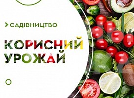 Органічне землеробство: з чого почати - корисні статті про садівництво від Agro-Market