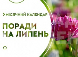 Місячний календар городника на липень 2021 - корисні статті про садівництво від Agro-Market