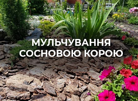 Купити соснову кору для ландшафтного дизайну | Agro-market 