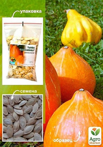 Гарбуз "Росіянка" ТМ "Весна" 100г