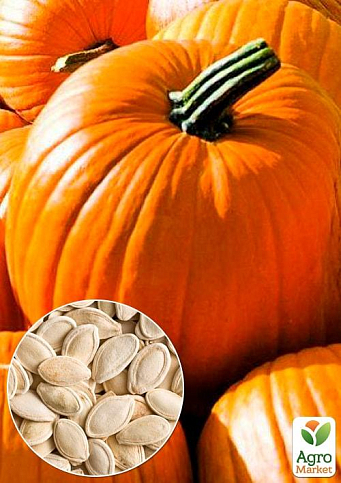 На развес Тыква "Ранняя сахарная" ТМ "Весна" цена за 10г