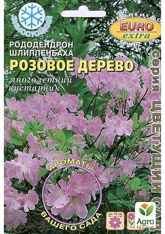 Рододендрон шлиппенбаха "Розовое дерево" ТМ "Аэлита" 0.005г