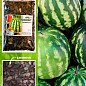 Арбуз "Спасский" ТМ "Весна" 100г