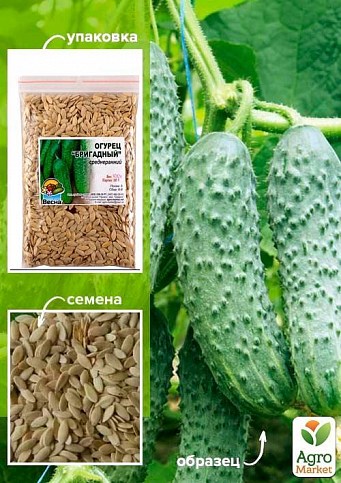 Огурец "Бригадный" ТМ "Весна" 100г