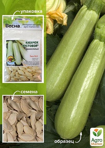 Кабачок "Кустовой" (Зипер) ТМ "Весна" 5г