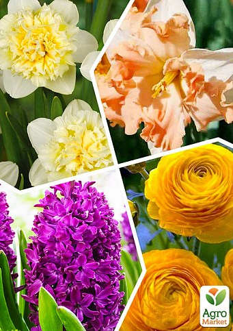 Микс луковиц из 4-х сортов "Богатый сад" (Rich garden) 11шт луковиц
