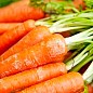 На развес Морковь "Смесь лучших популярных сортов" ТМ "Весна" цена за 15г купить