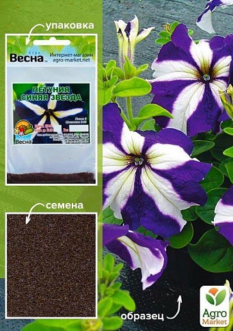 Петунія "Синя зірка" (Зипер) ТМ "Весна" 1г