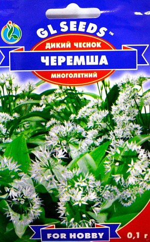 Дикий чеснок многолетний "Черемша" ТМ "GL SEEDS" 0.1г