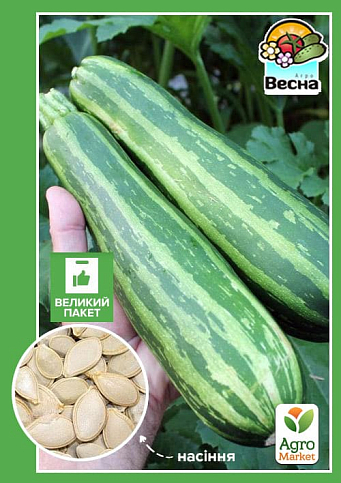 Кабачок "Зебра" (Большой пакет) ТМ "Весна" 5г