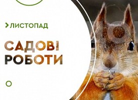 Садові роботи на листопад - корисні статті про садівництво від Agro-Market