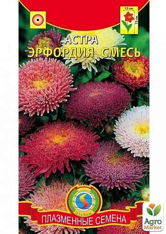 Айстра "Ерфордія" суміш ТМ "Плазмові насіння" 0,2г