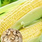 На развес Кукуруза "Снежная королева" ТМ "Весна" цена за 40г