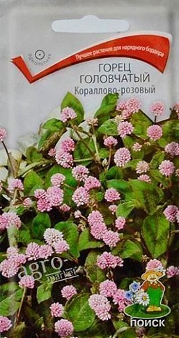 Горец головчатый "Кораллово-розовый" ТМ "Поиск" 0.05г
