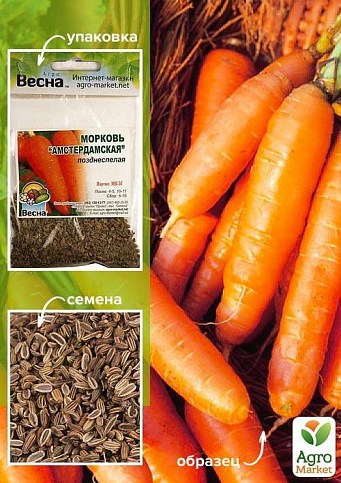 Морква "Амстердамська" (Зипер) ТМ "Весна" 5г