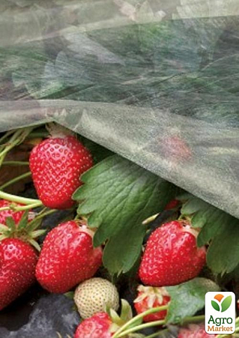 Біле агроволокно покривне ТМ "Agreen" Ширина 1.6м, Довжина 10м, Щільність 23 - фото 4