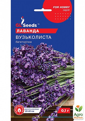 Лаванда багаторічна "вузьколистого" ТМ "GL SEEDS" 0.1г