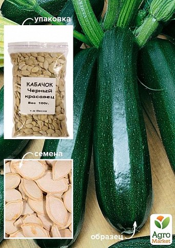Кабачок "Черный красавец" ТМ "Весна" 500г
