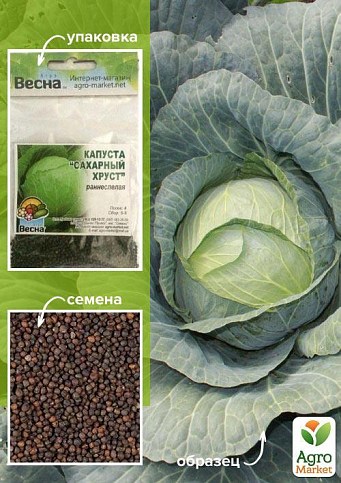 Капуста "Сахарный хруст" (Зипер) ТМ "Весна" 3г