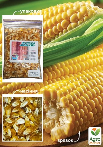 Кукурудза "Айова Світ" ТМ "Весна" 100г