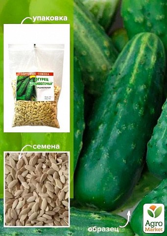 Огурец "Дальневосточный" ТМ "Весна" 100г