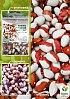 Фасоль "Красная шапочка" (Зипер) ТМ "Весна" 5г.