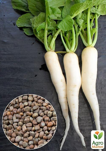 На вагу Редька "Мюнхен бір" ТМ "Весна" ціна за 10г