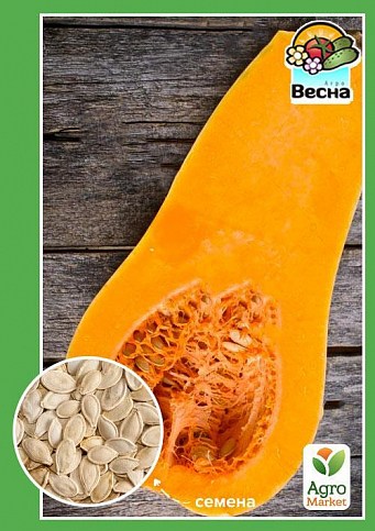 Тыква "Медовый десерт" (Новый пакет) ТМ "Весна" 2г