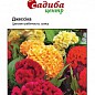 Целозия гребенчатая "Джессика смесь" ТМ "Садиба центр" 0.03г