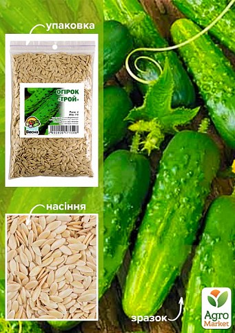 Огірок "Трой" ТМ "Весна" 100г