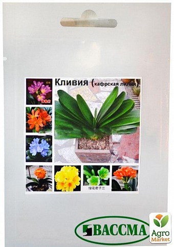 Кливия ТМ "Вассма" 10шт