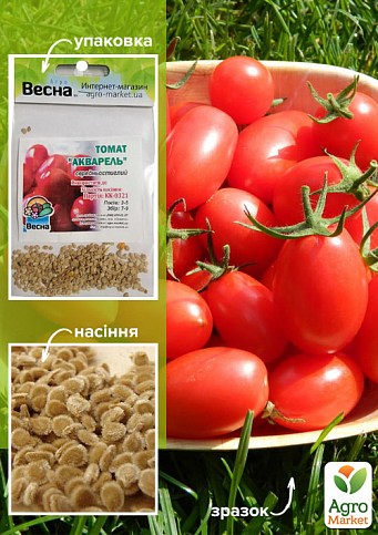 Томат "Акварель" (Зипер) ТМ "Весна" 1г