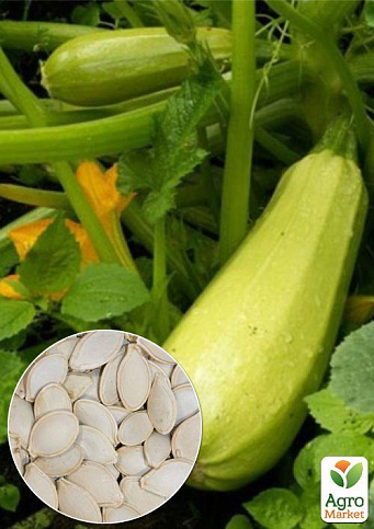 На развес Кабачок "Дядя Степа" ТМ "Весна" цена за 8г