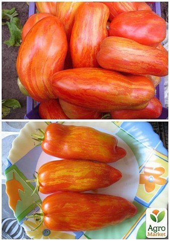 На вагу Томат "Тигровий" ТМ "Весна" ціна за 1г - фото 2