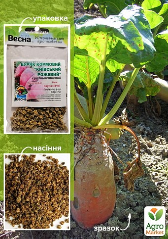 Свекла кормовая "Киевская Розовая" (Зипер) ТМ "Весна" 10г