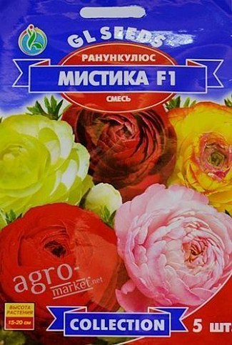 Ранункулюс "Мистика F1" ТМ "GL SEEDS" 5шт