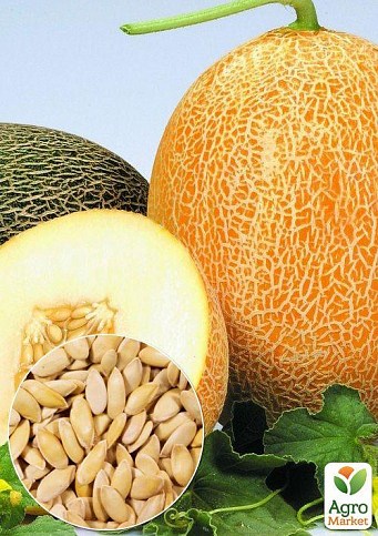 На вагу Диня "Карамель" ТМ "Весна" ціна за 10г