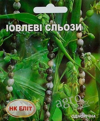 Иовлевы слезы ТМ "НК Элит" 1г